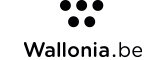 Wallonia Export & Investment Agency (AWEX)