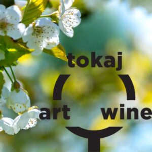 tokajartwine spring events